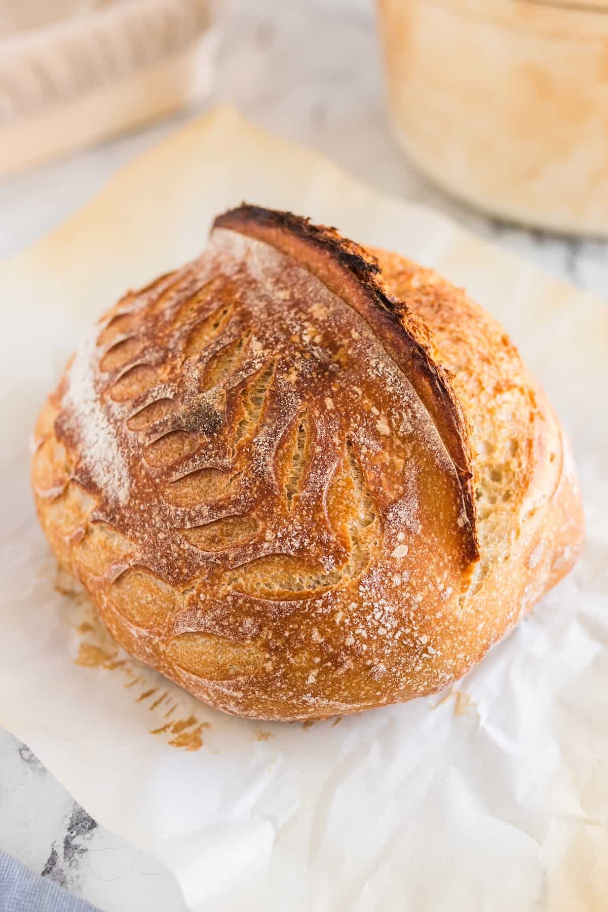 Gluten Free Sourdough Bread Living Chirpy