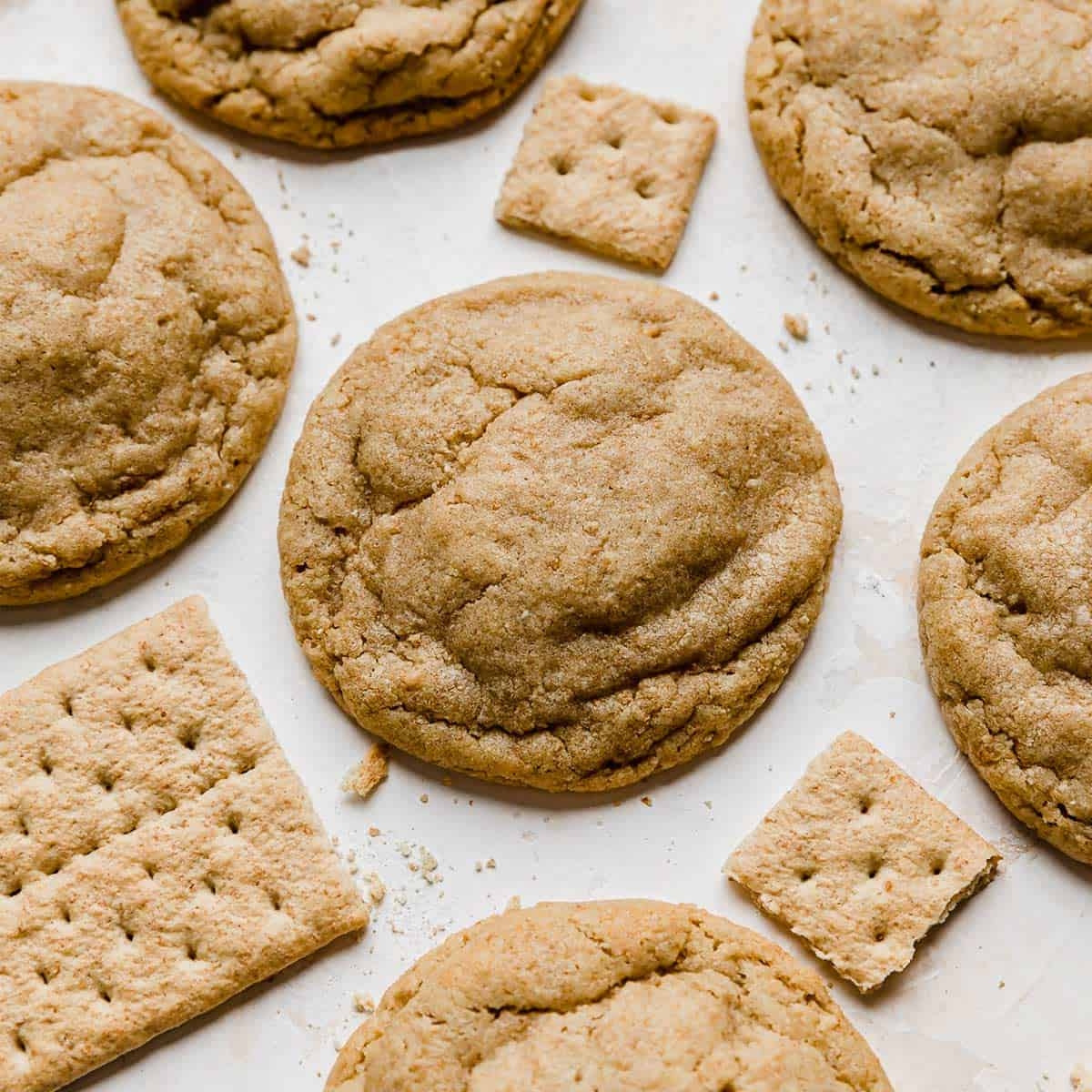 Graham Cracker Cookies Salt Baker Graham Cracker Cookies Salt Baker