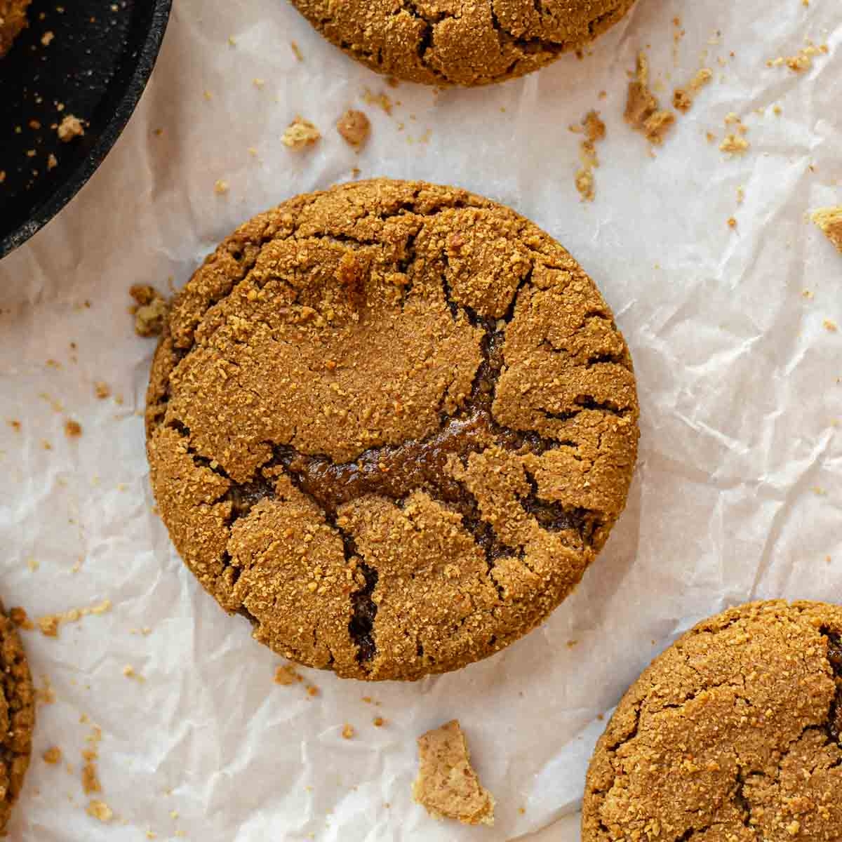 Graham Cracker Cookies The Cozy Plum Graham Cracker Cookies The Cozy Plum