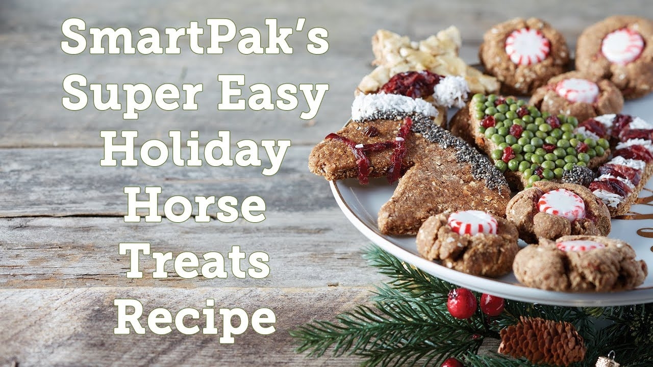 Healthy Horse Treats Recipe Horse Treat Recipes How To Make Gourmet Homemade Treats Book About Horses