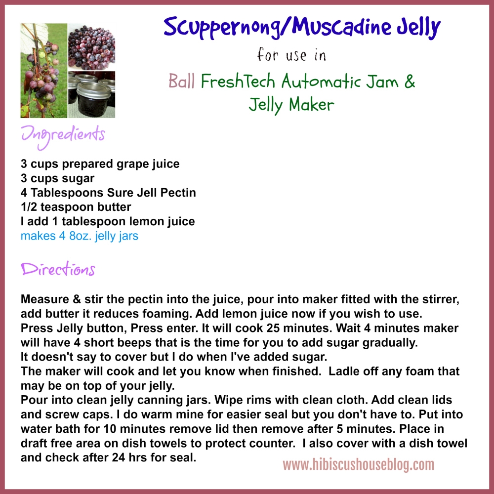 Hibiscus House Homemade Scuppernong Muscadine Grape Jelly
