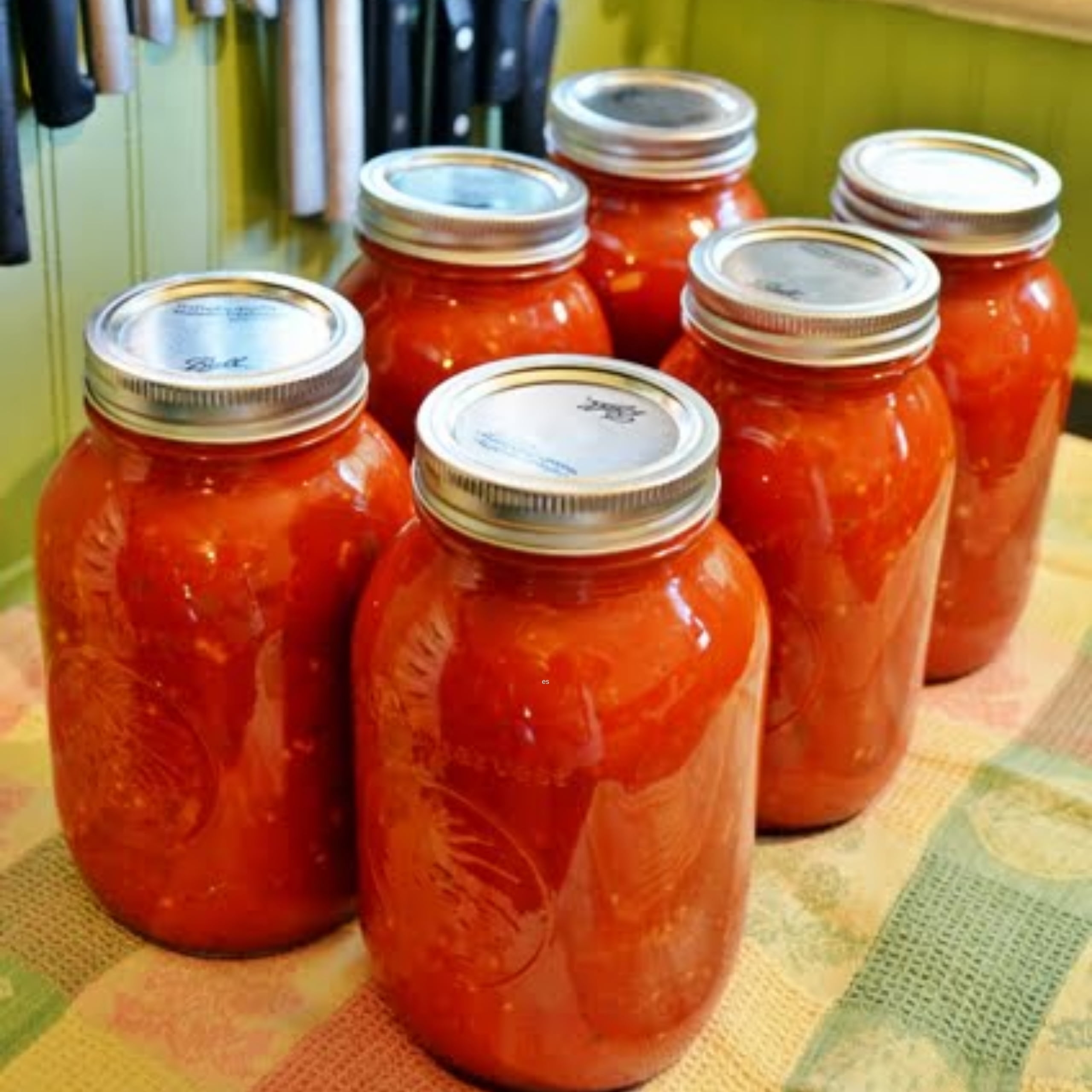 canning spaghetti sauce recipe canning spaghetti sauce recipe