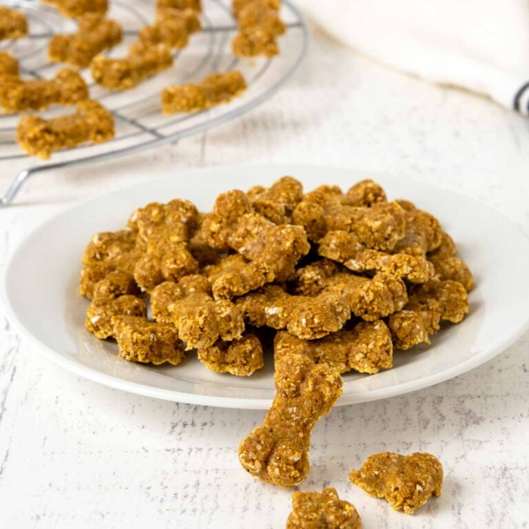 Homemade Dog Treats Without Flour