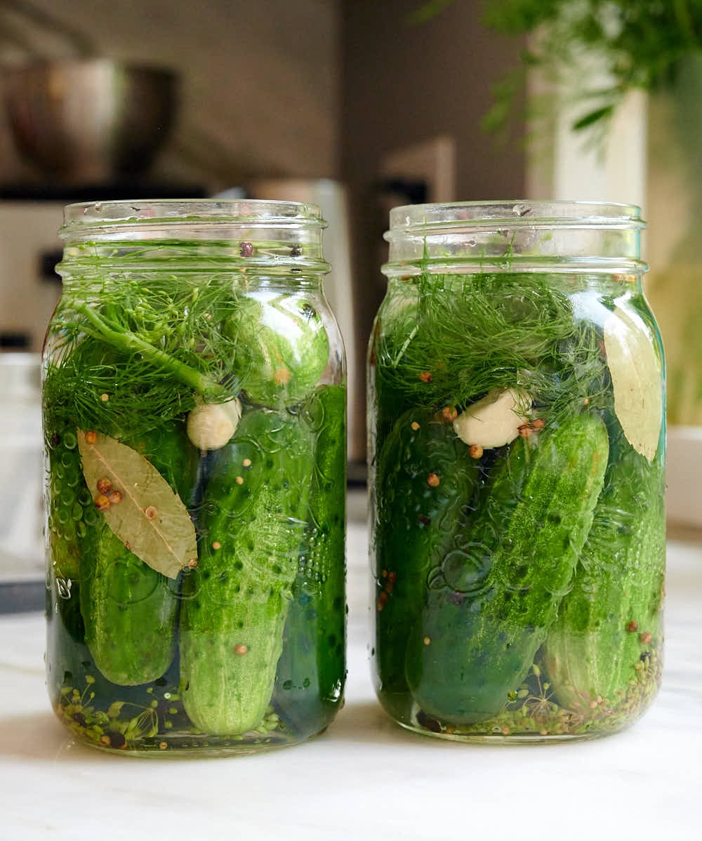 fermented dill pickle recipe fermented dill pickle recipe