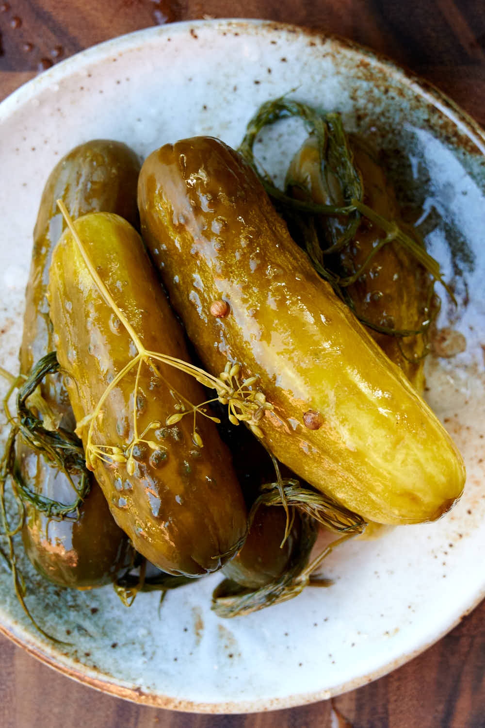 Homemade Fermented Dill Pickles Taste Of Artisan Homemade Fermented Dill Pickles Taste Of Artisan