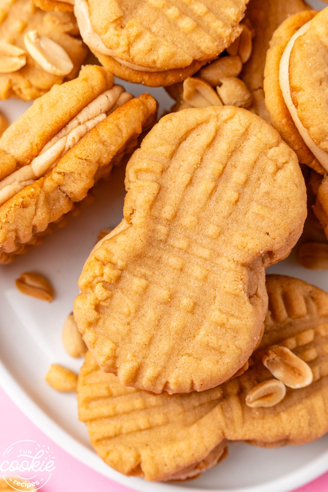 Homemade Nutter Butter Cookies Fun Cookie Recipes Homemade Nutter Butter Cookies Fun Cookie Recipes