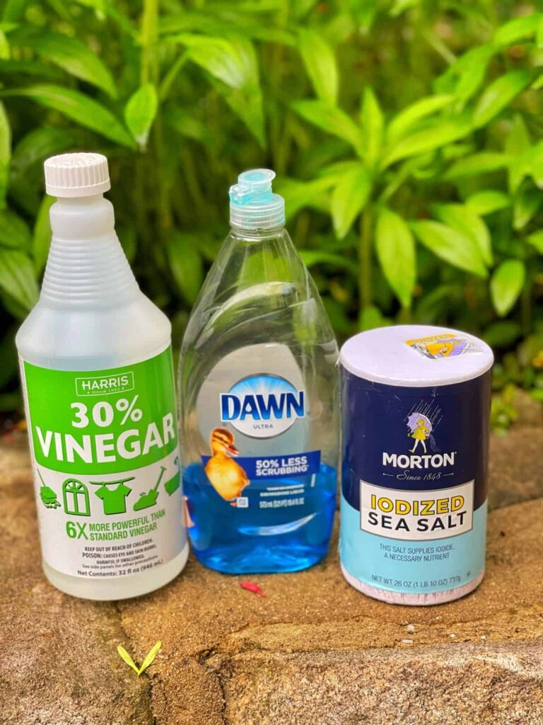 Homemade Weed Killer With Vinegar That Works Stacy Ling