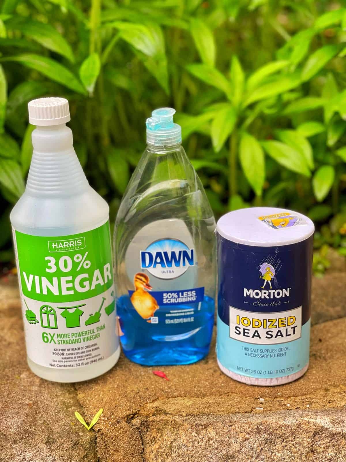 Homemade Weed Killer With Vinegar That Works Stacy Ling