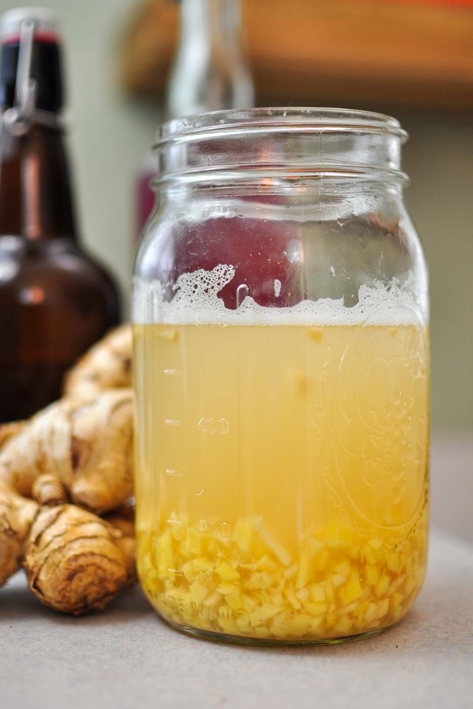 How To Make A Ginger Bug For Homemade Soda The Fermentation Adventure