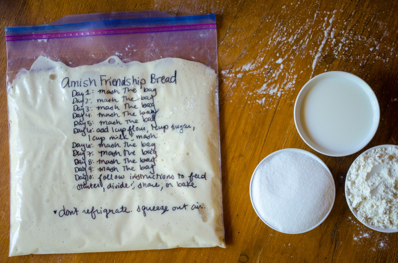 How To Make Amish Friendship Bread Starter 12 Tomatoes