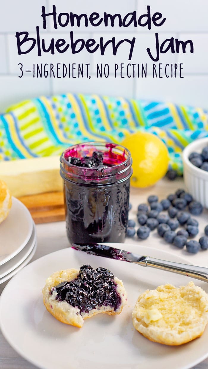 How To Make Blueberry Jam Scattered Thoughts Of A Crafty Mom By Jamie Sanders How To Make Blueberry Jam Scattered Thoughts Of A Crafty Mom By Jamie Sanders