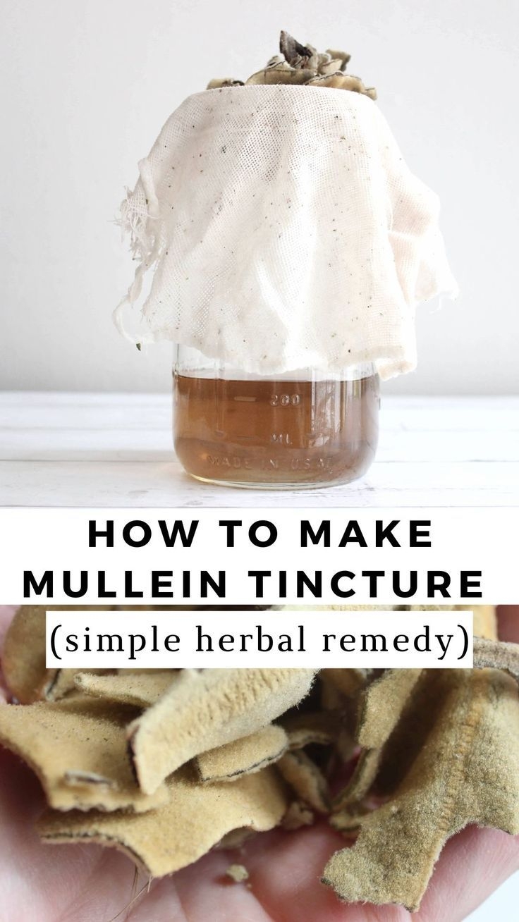 How To Make Mullein Tincture Simple Soothing Recipe How To Make Mullein Tincture Simple Soothing Recipe