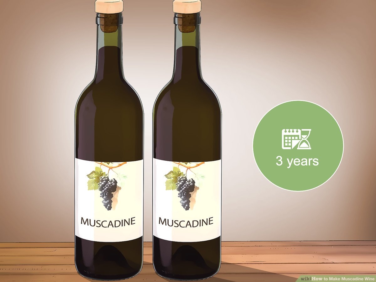 muscadine wine recipe muscadine wine recipe