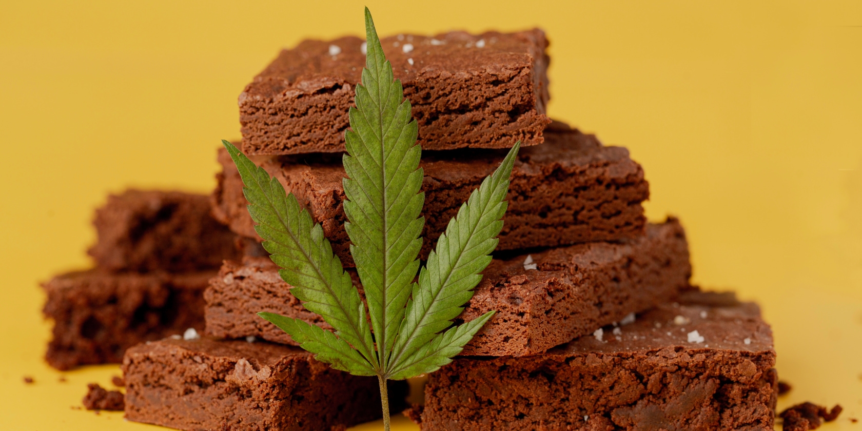 How To Make Weed Brownies Step By Step Takoma Wellness