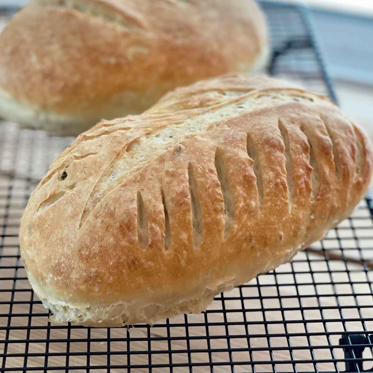 Italian Bread In A Bread Machine Grumpy s Honeybunch