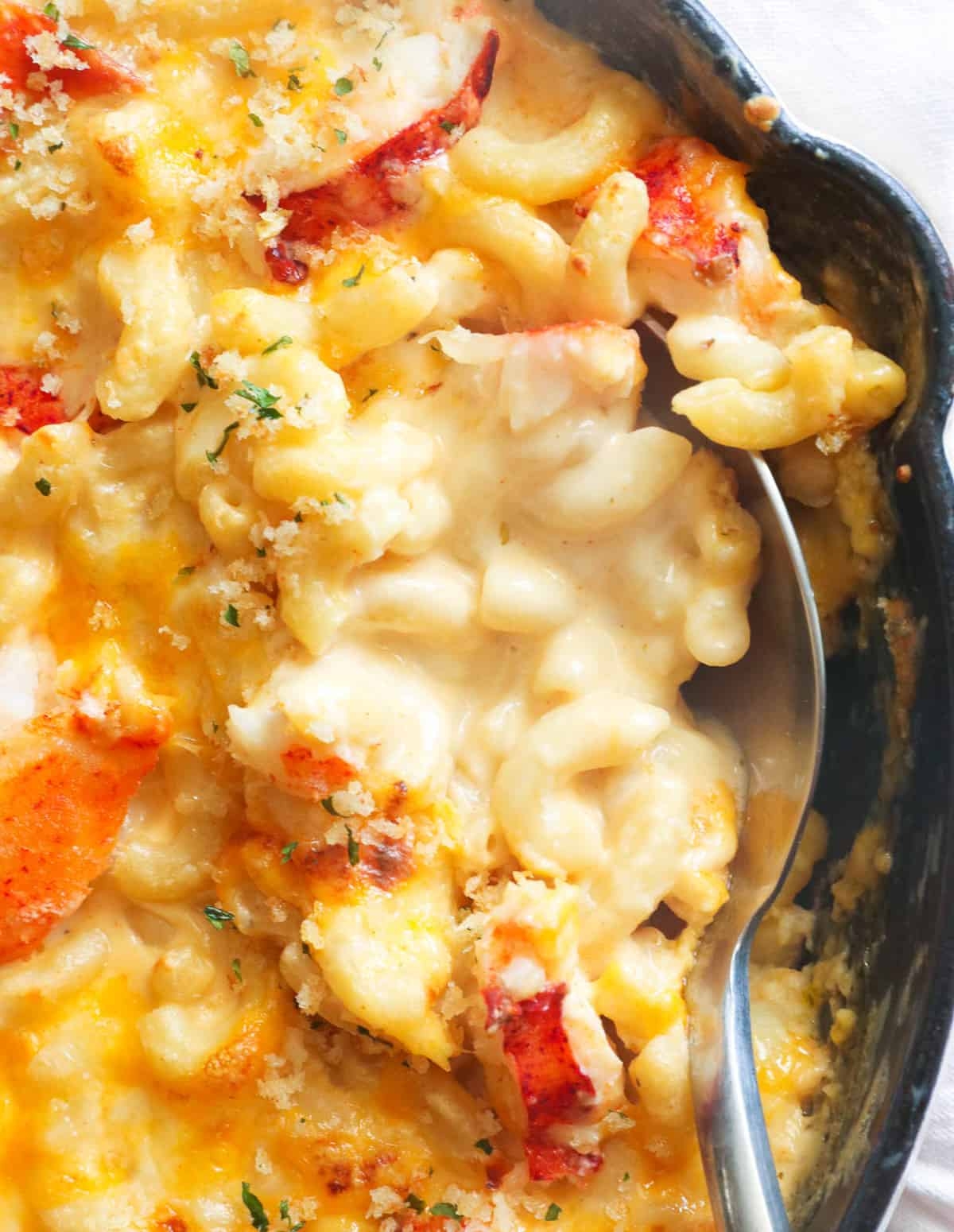 Lobster Mac And Cheese Immaculate Bites