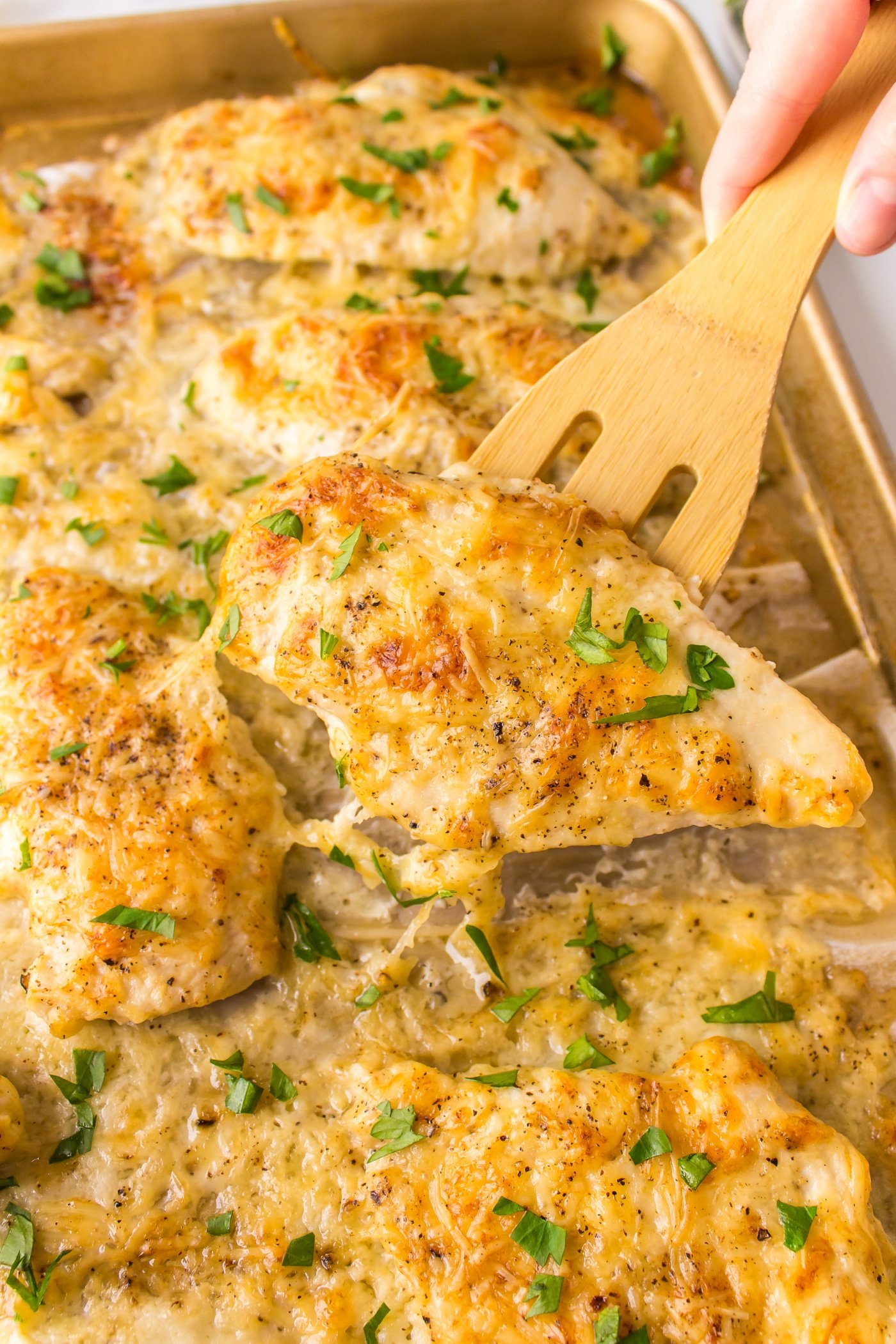 mayonnaise parmesan chicken recipe