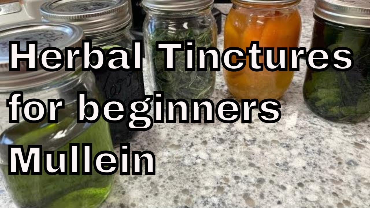 Medicinal Herbal Tinctures Beginners Easy Making A Mullein Tincture For Respiratory YouTube Medicinal Herbal Tinctures Beginners Easy Making A Mullein Tincture For Respiratory YouTube
