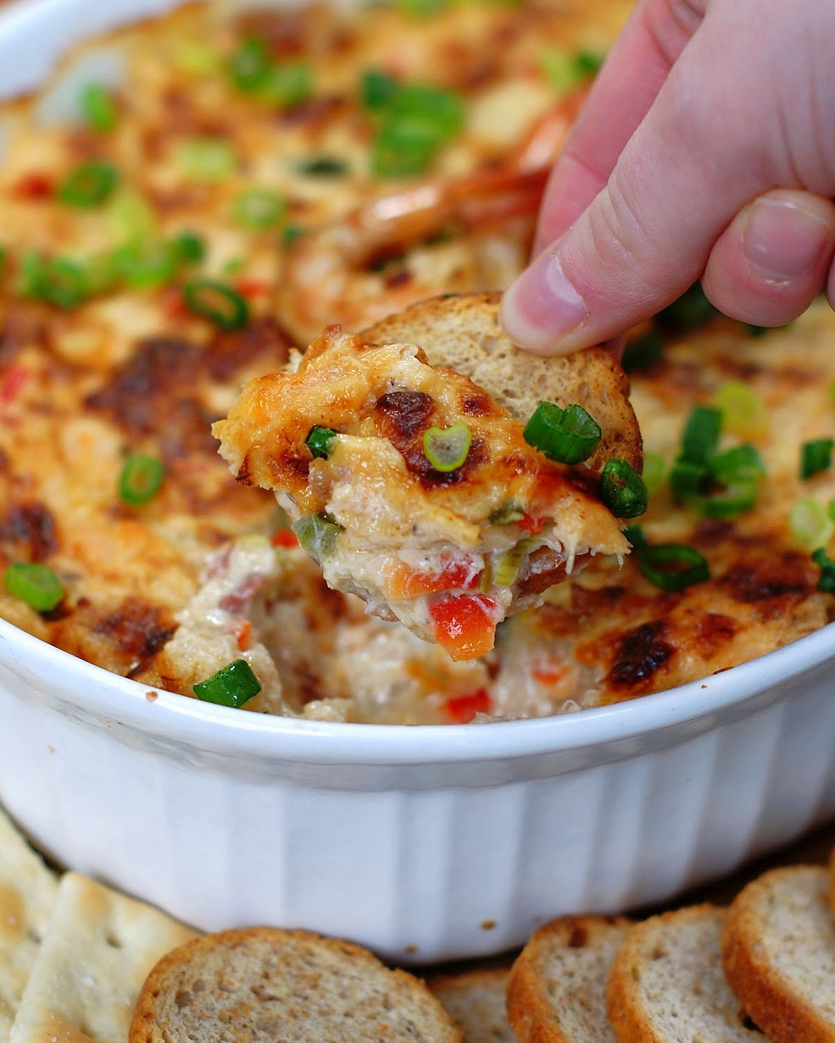 shrimp crab dip recipe shrimp crab dip recipe