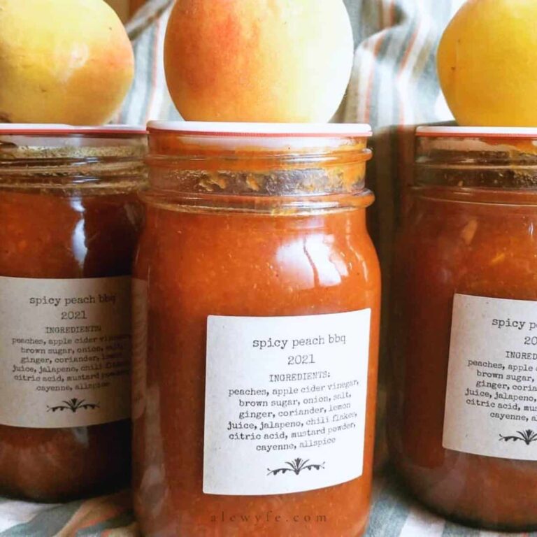 Millions Of Peaches Peaches For Free Spicy Peach BBQ Sauce