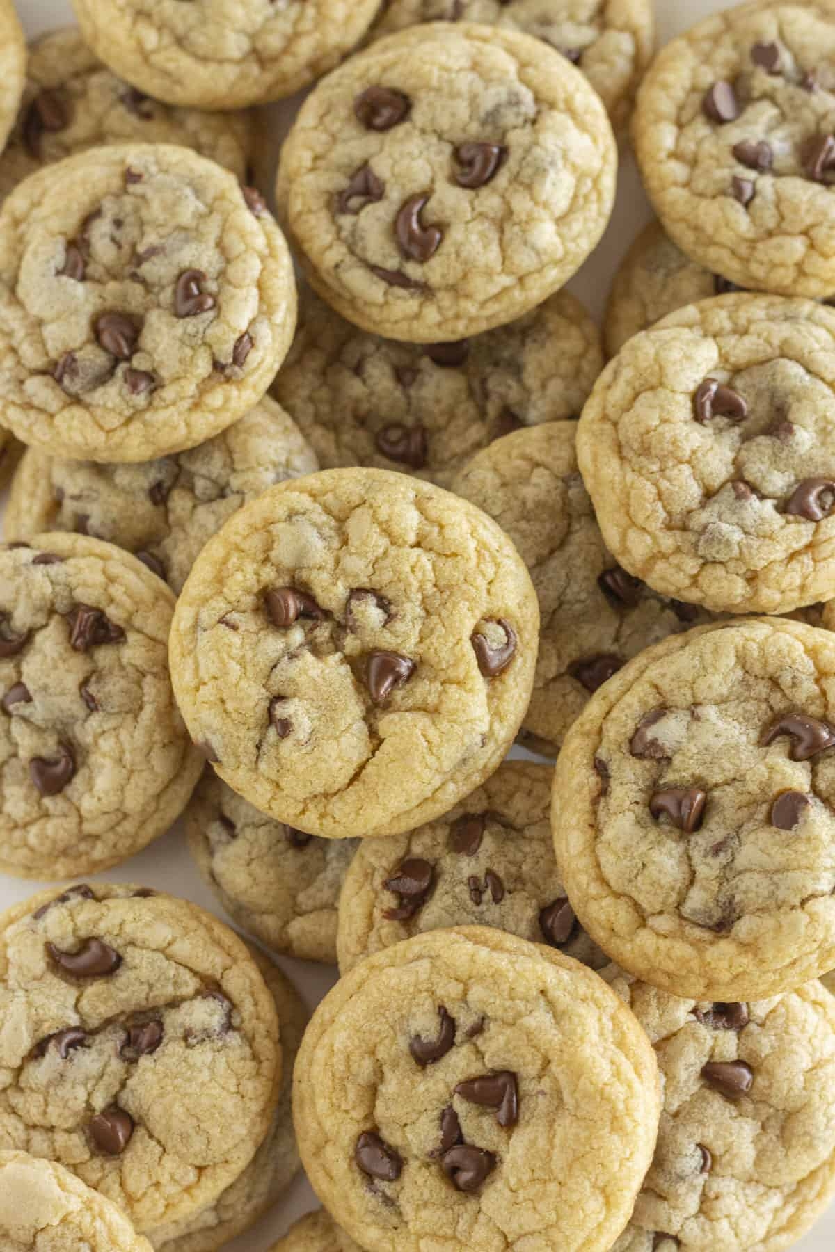 Mini Chocolate Chip Cookies Practically Homemade Mini Chocolate Chip Cookies Practically Homemade