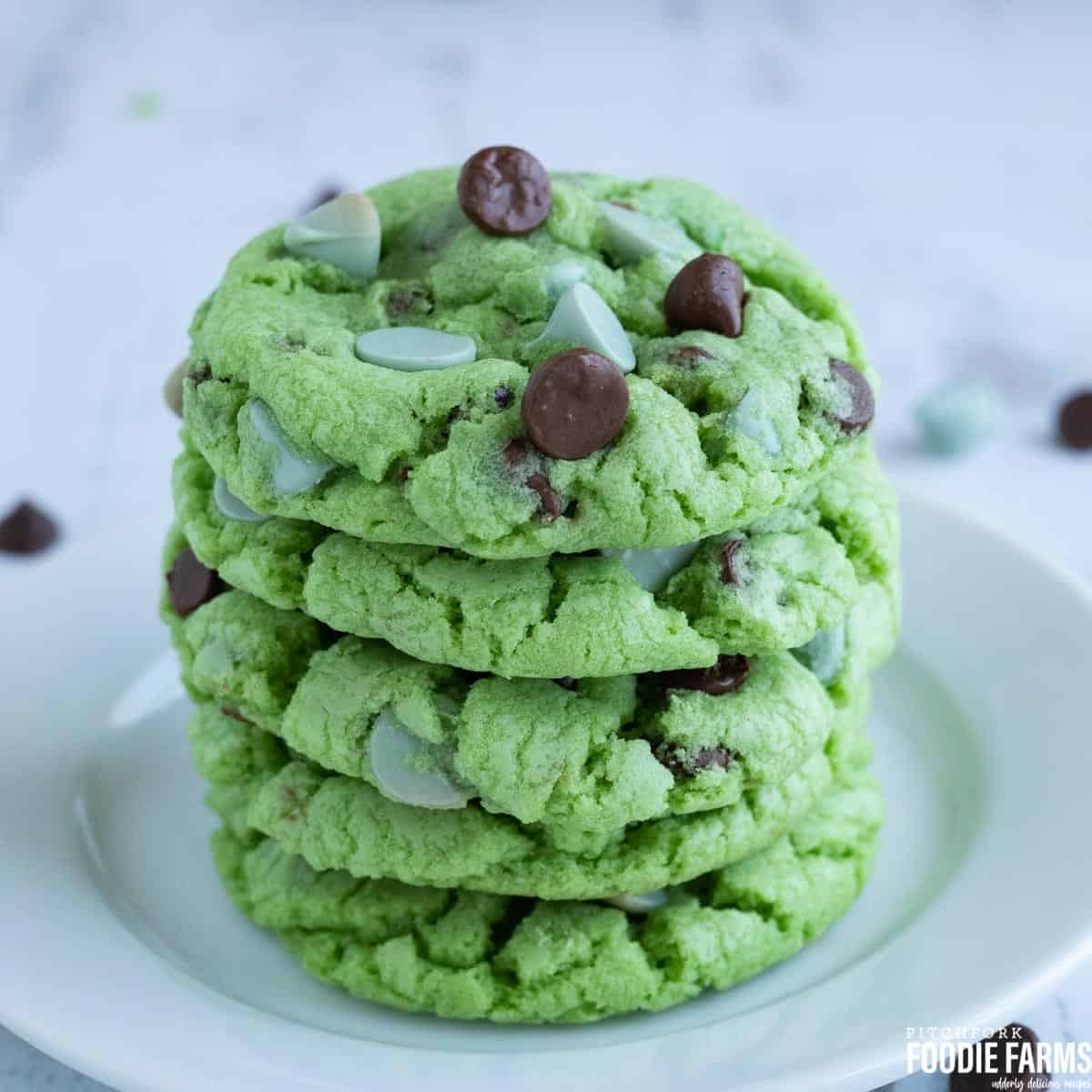 mint chocolate chip cookie recipe