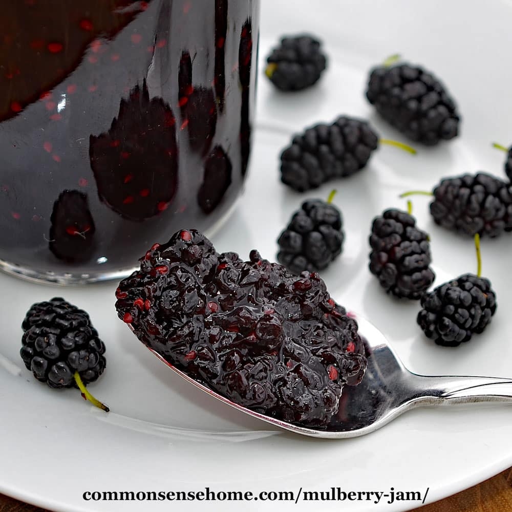 Mulberry Jam Recipe Use Fresh Or Frozen Berries