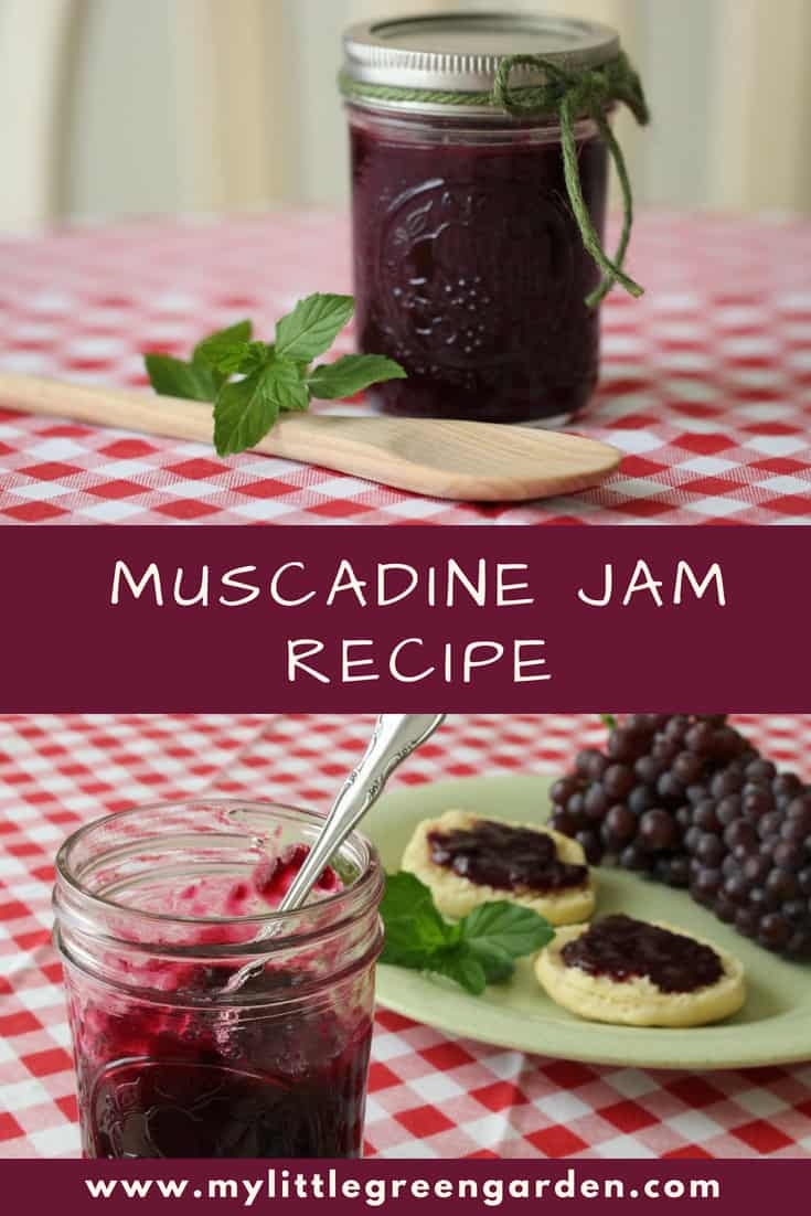 muscadine jelly recipe