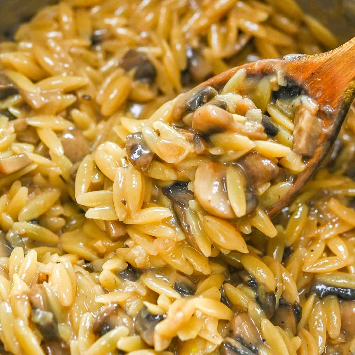 mushroom orzo recipe mushroom orzo recipe
