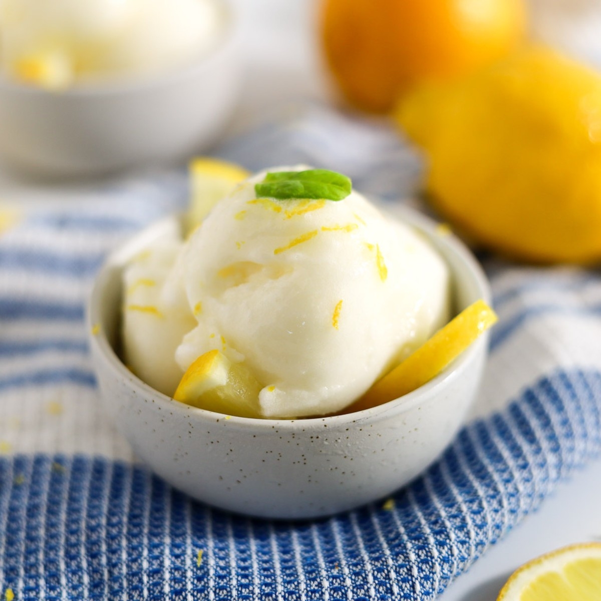 ninja creami sorbet recipes