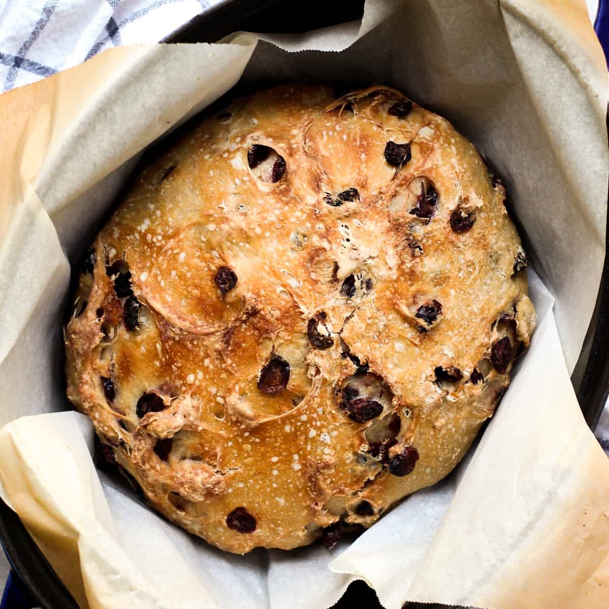 No Knead Cranberry Bread Joyous Apron