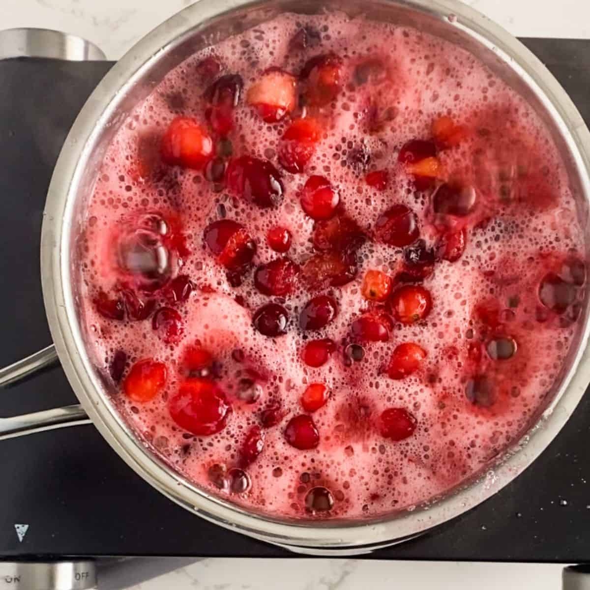 Ocean Spray Cranberry Sauce Recipe Simply Scrumptious Eats