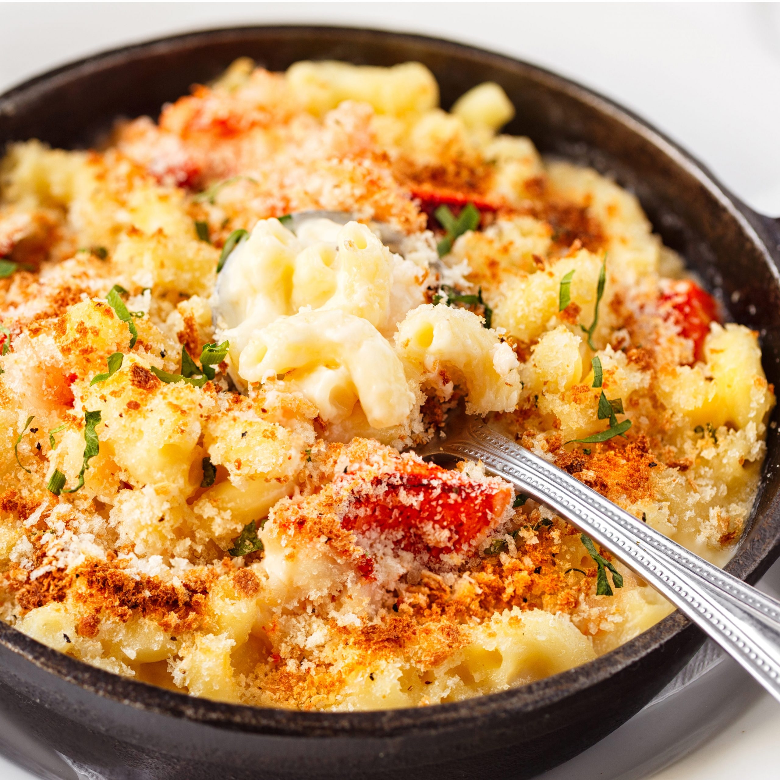 OHOW s Favorite Lobster Mac And Cheese Recipe Orthopaedic Hospital Of Wisconsin