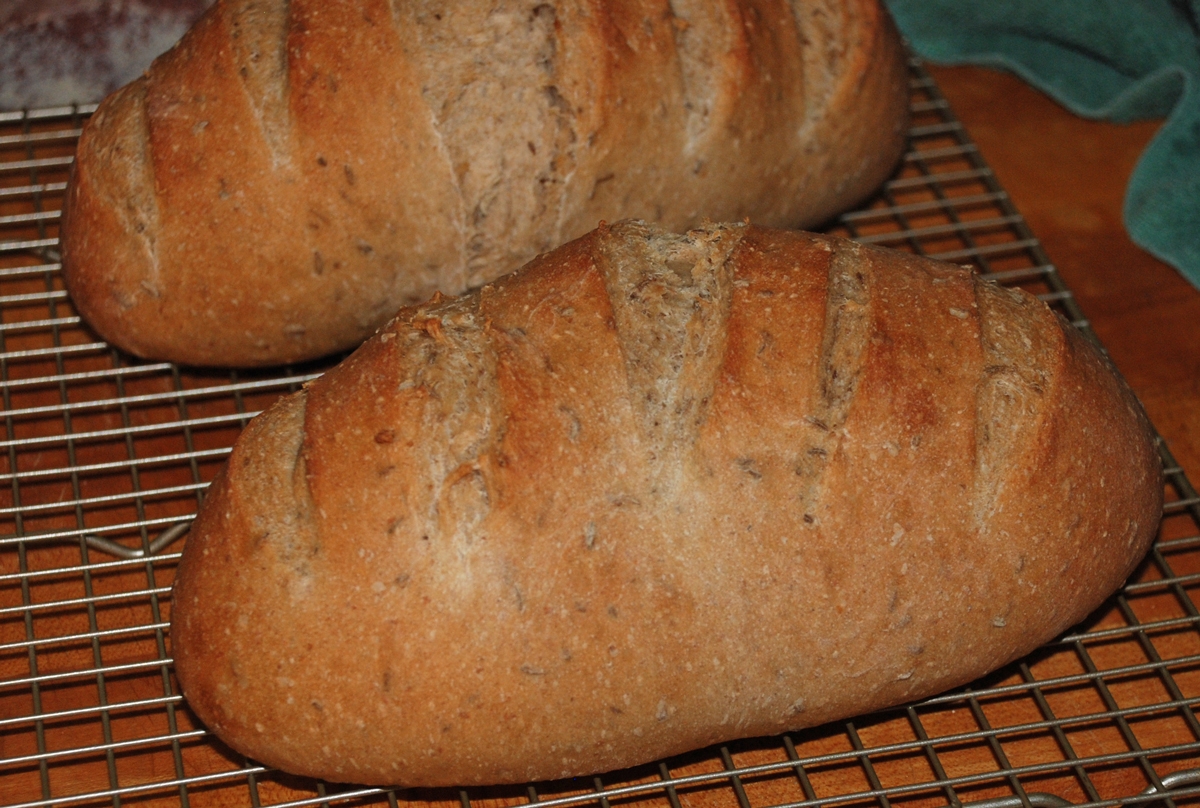 jewish rye bread recipe jewish rye bread recipe