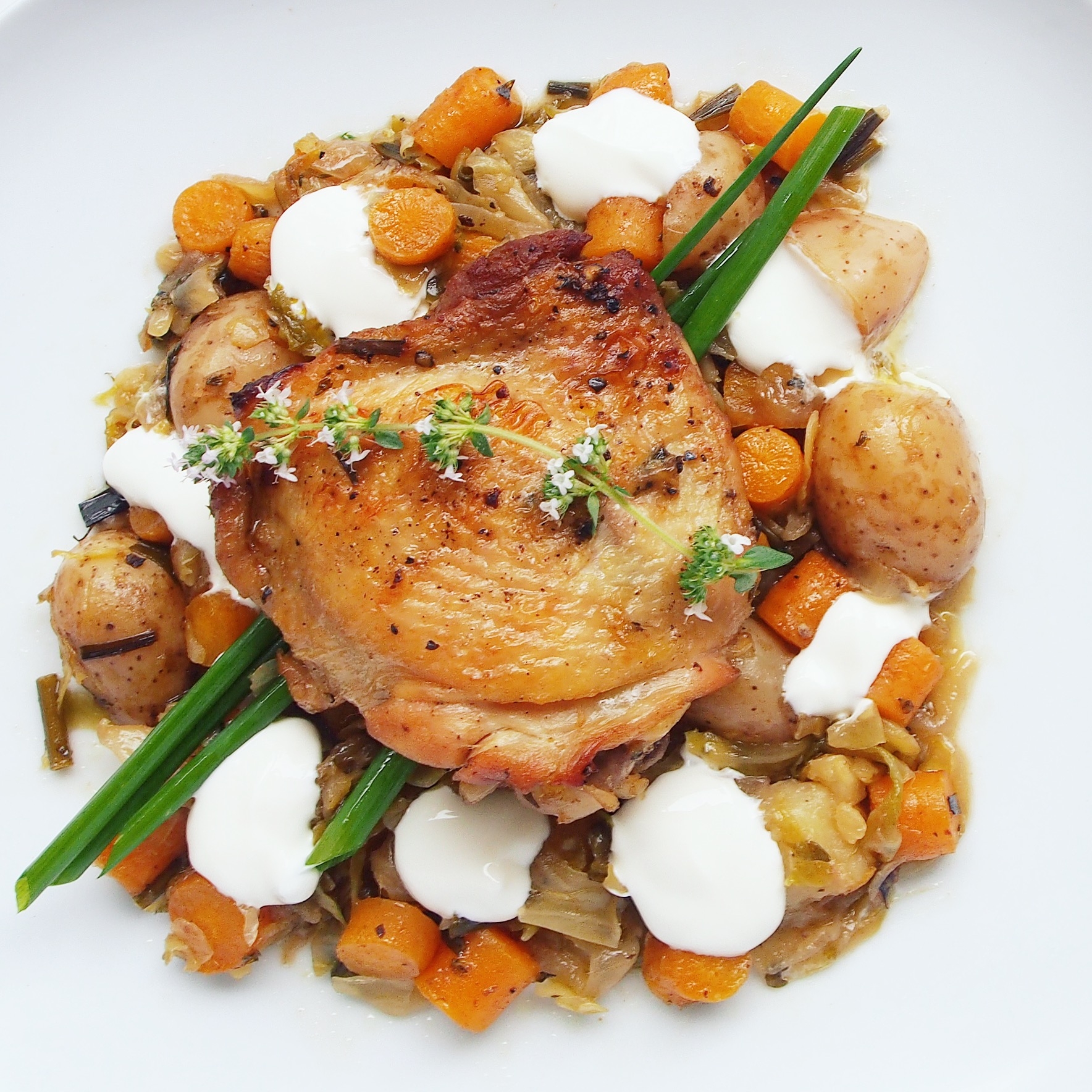One Pot German Style Chicken With Sauerkraut And Braised Vegetables Diet Assassinista