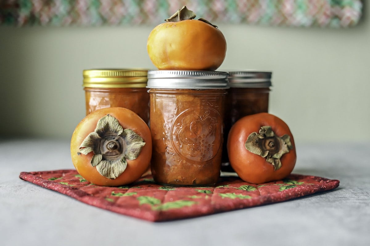 persimmon jelly recipe persimmon jelly recipe