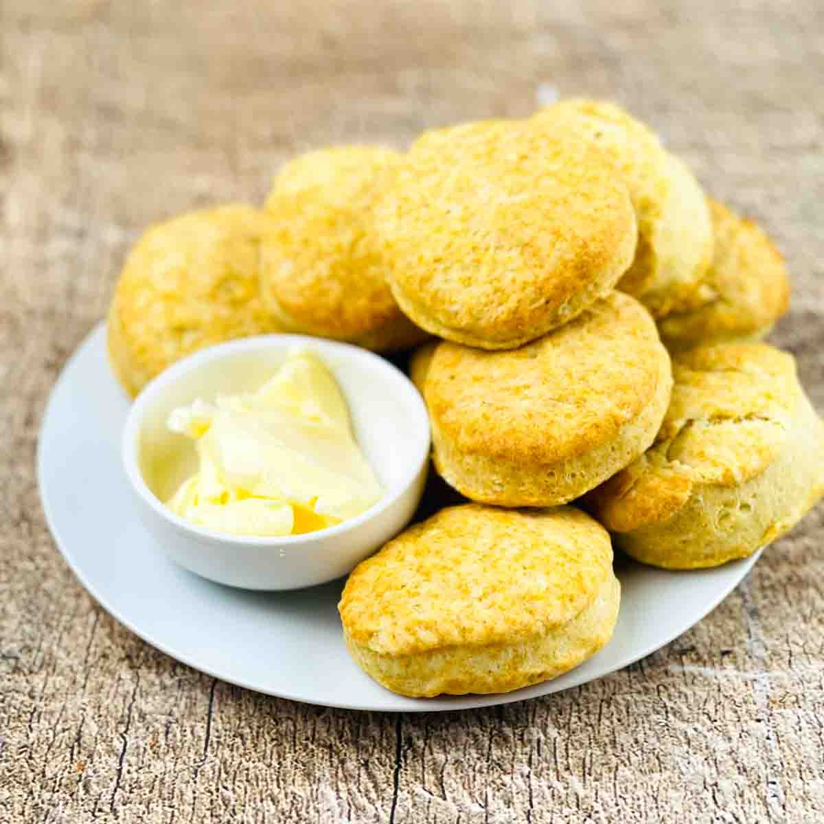 Quick Homemade Biscuits With No Milk Winding Creek Ranch Quick Homemade Biscuits With No Milk Winding Creek Ranch