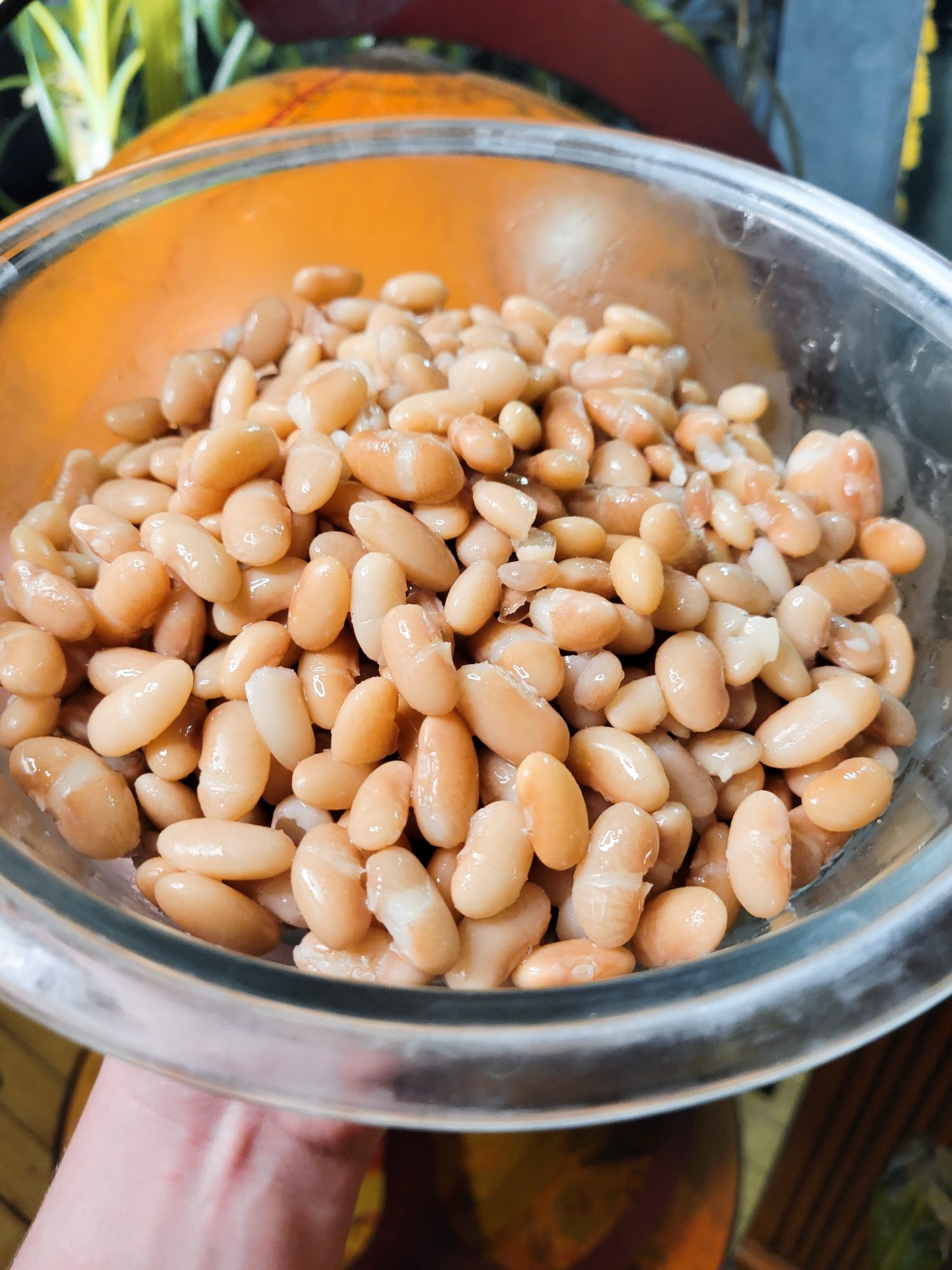 mayocoba beans recipe mayocoba beans recipe