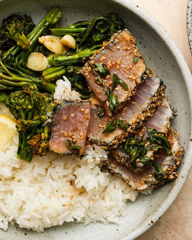 albacore tuna recipes albacore tuna recipes