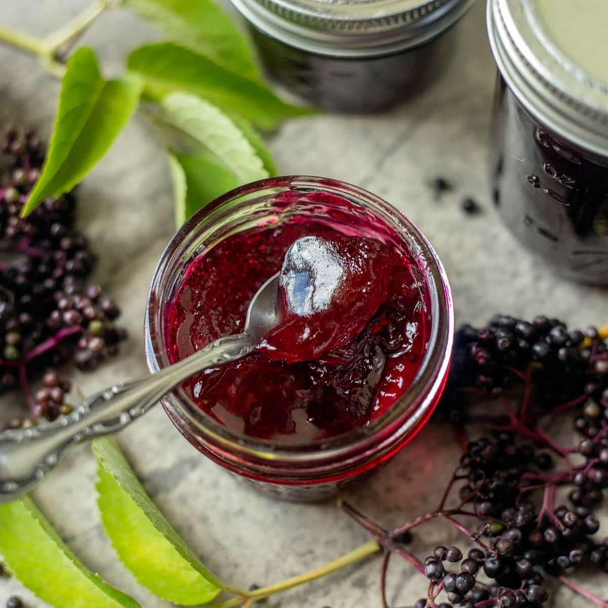 Simple Elderberry Jelly Recipe Hilda s Kitchen Blog