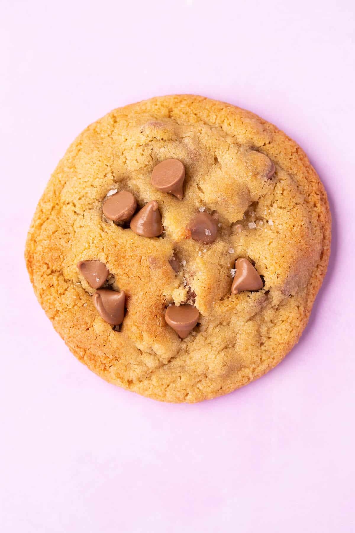 Single Serve Chocolate Chip Cookie Recipe One Bowl 