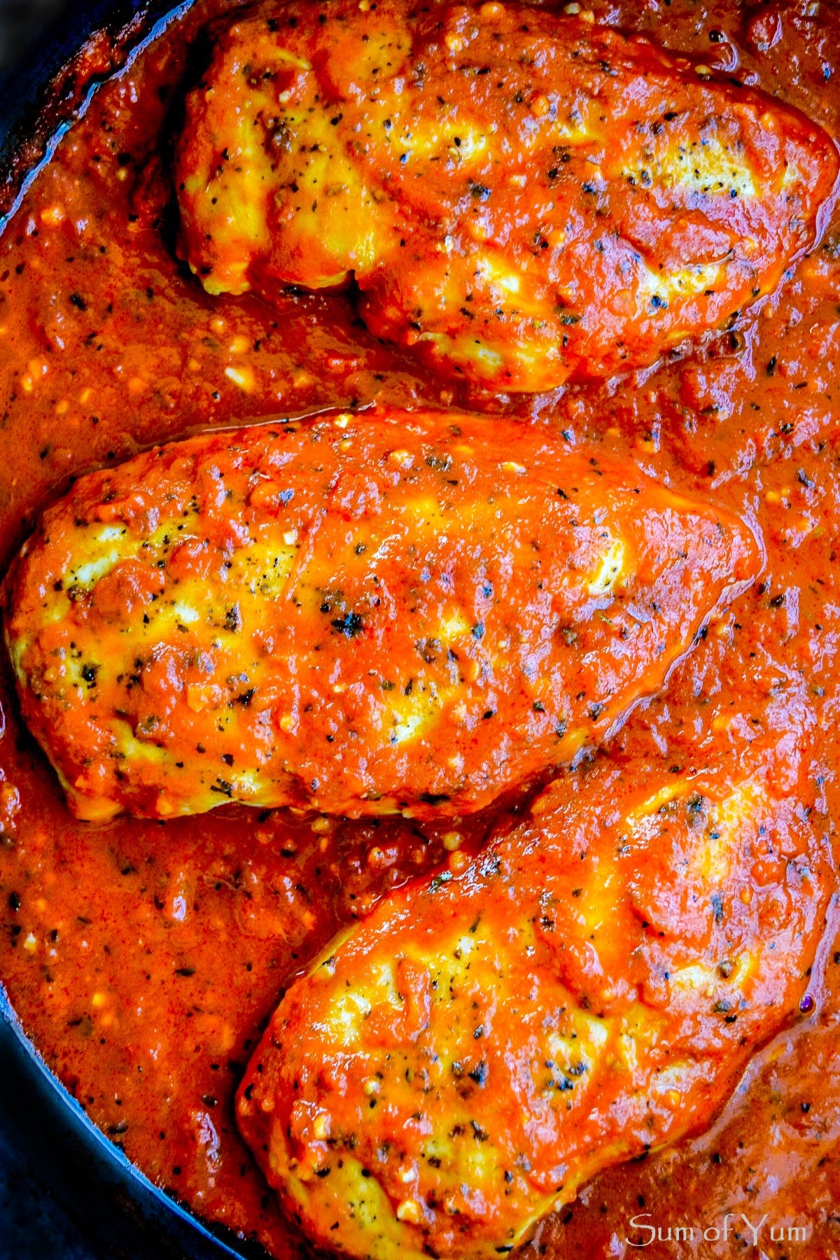 Skillet Chicken In Garlic Tomato Sauce Sum Of Yum Skillet Chicken In Garlic Tomato Sauce Sum Of Yum