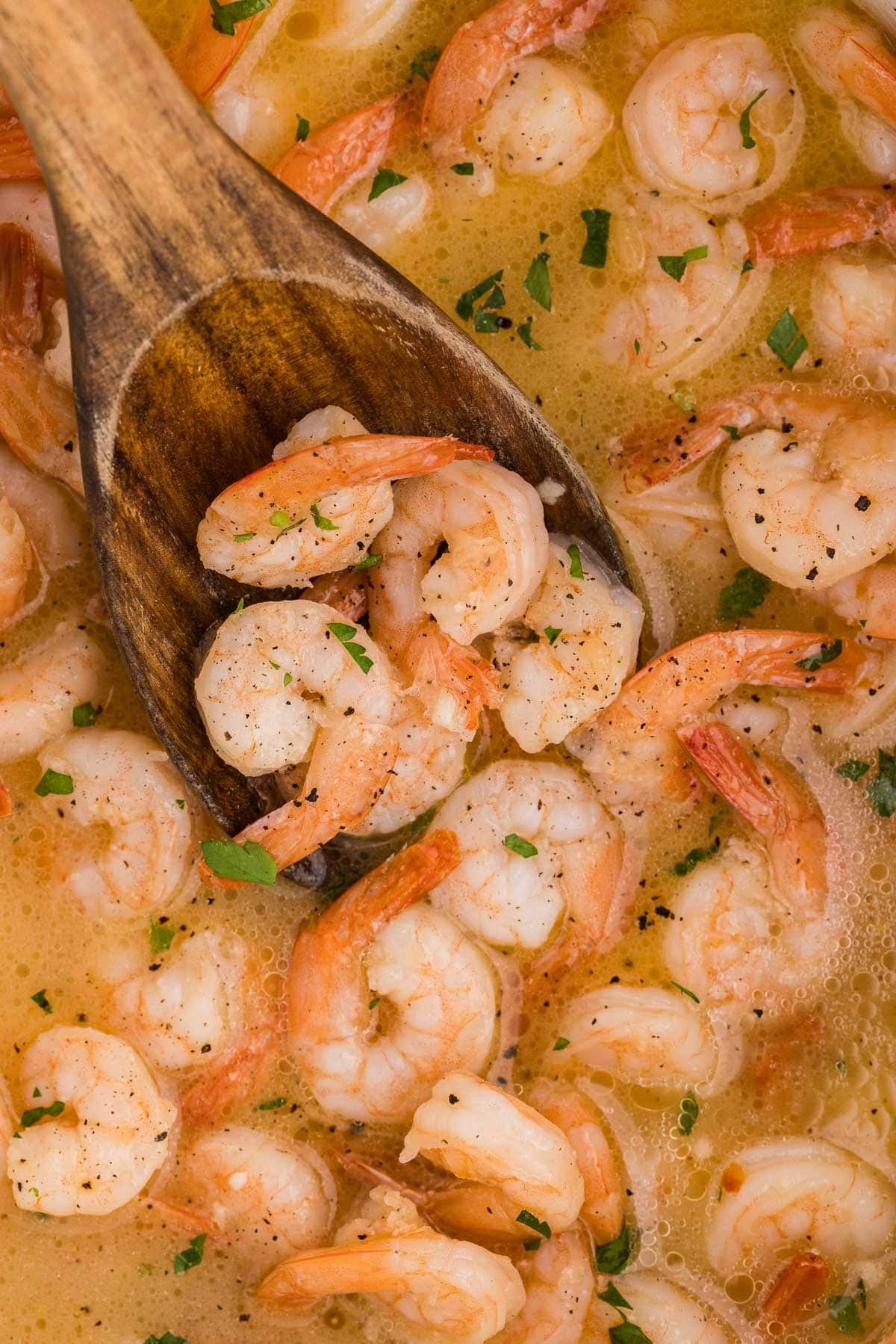 Slow Cooker Shrimp Scampi Slow Cooker Gourmet Slow Cooker Shrimp Scampi Slow Cooker Gourmet