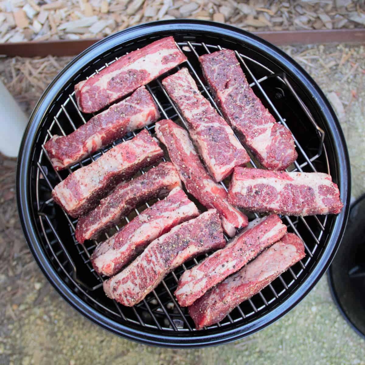 Smoked Beef Short Ribs Bush Cooking