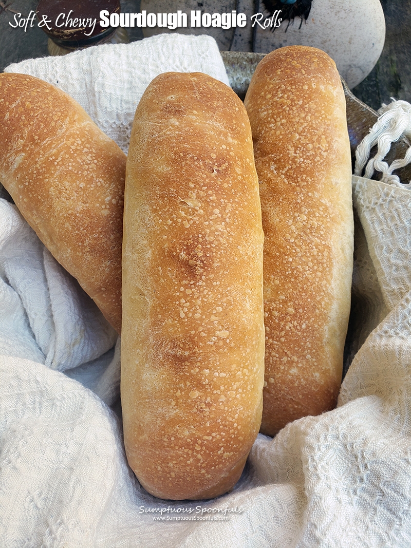 Soft Chewy Sourdough Hoagie Rolls Sourdough SandwichLove