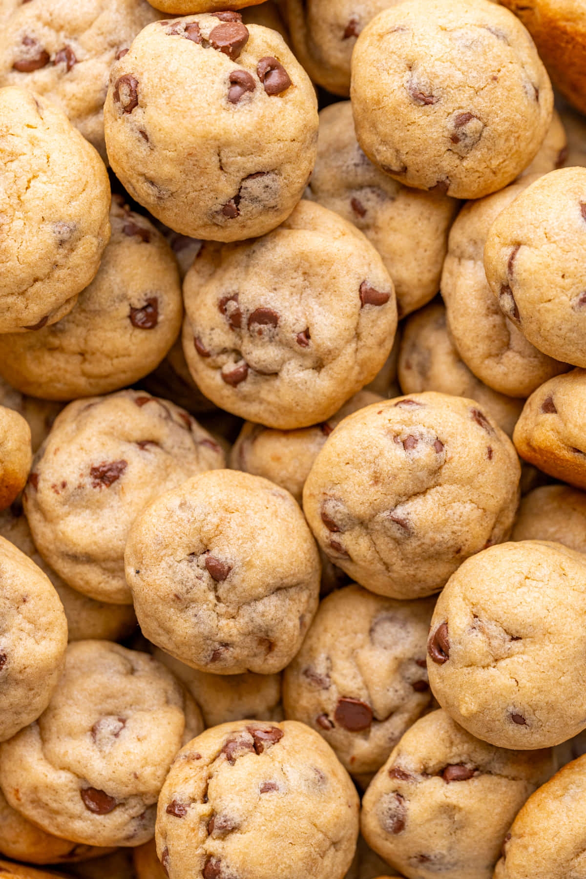 best bite size cookies recipe
