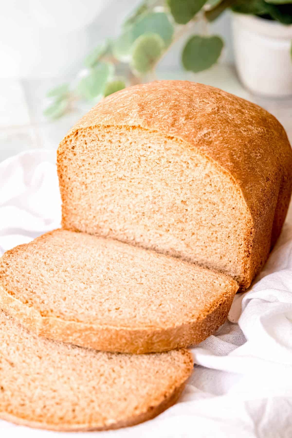 Soft Sourdough Discard Sandwich Bread Bread Machine Recipe 