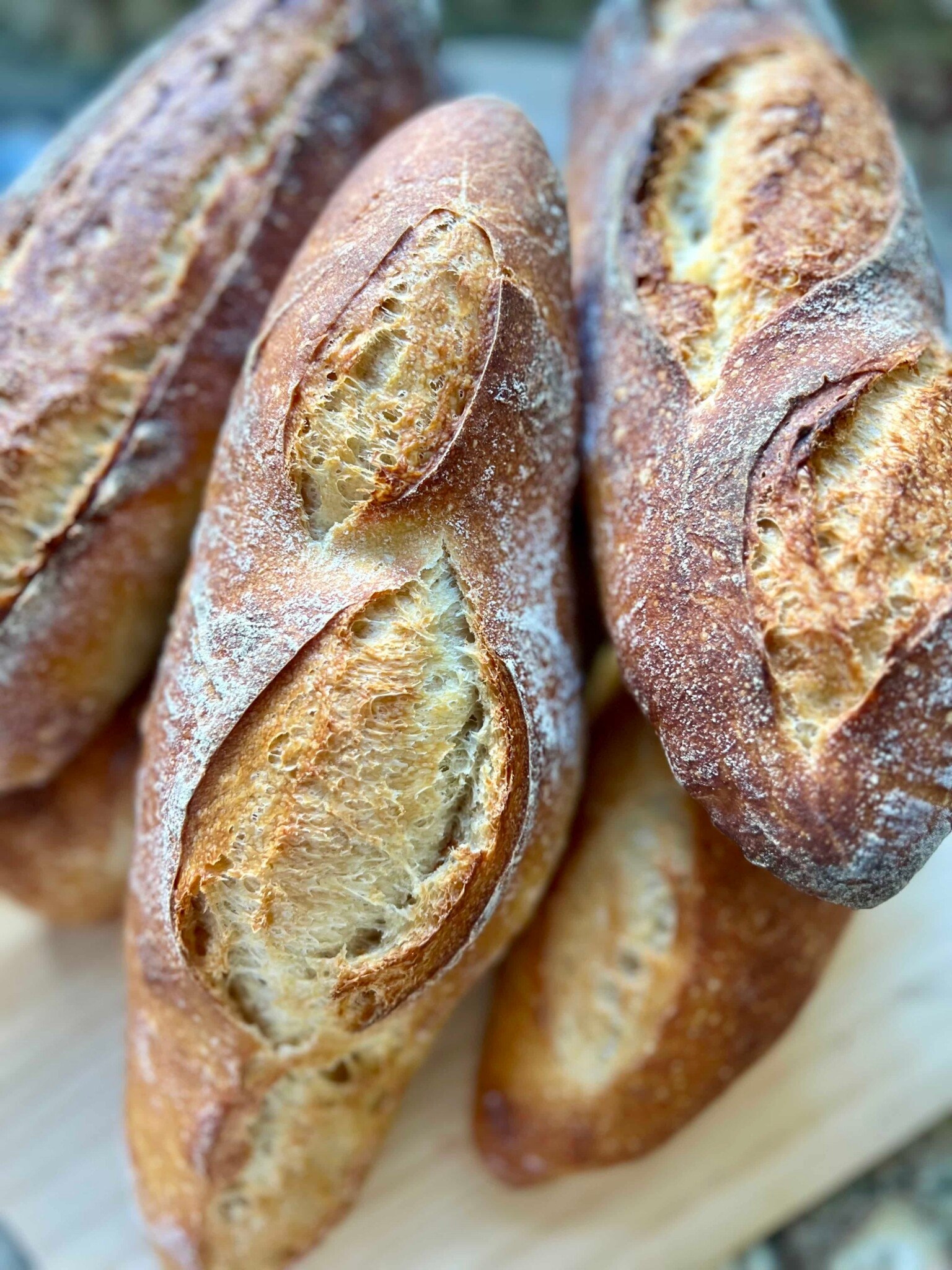 Sourdough Baguette Recipe Amy Bakes Bread