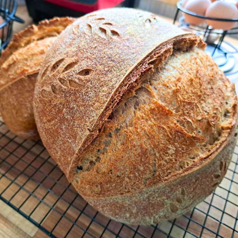 Sourdough Bread Made With 100 Fresh Milled Flour Boule Batard Fresh Milled Mama