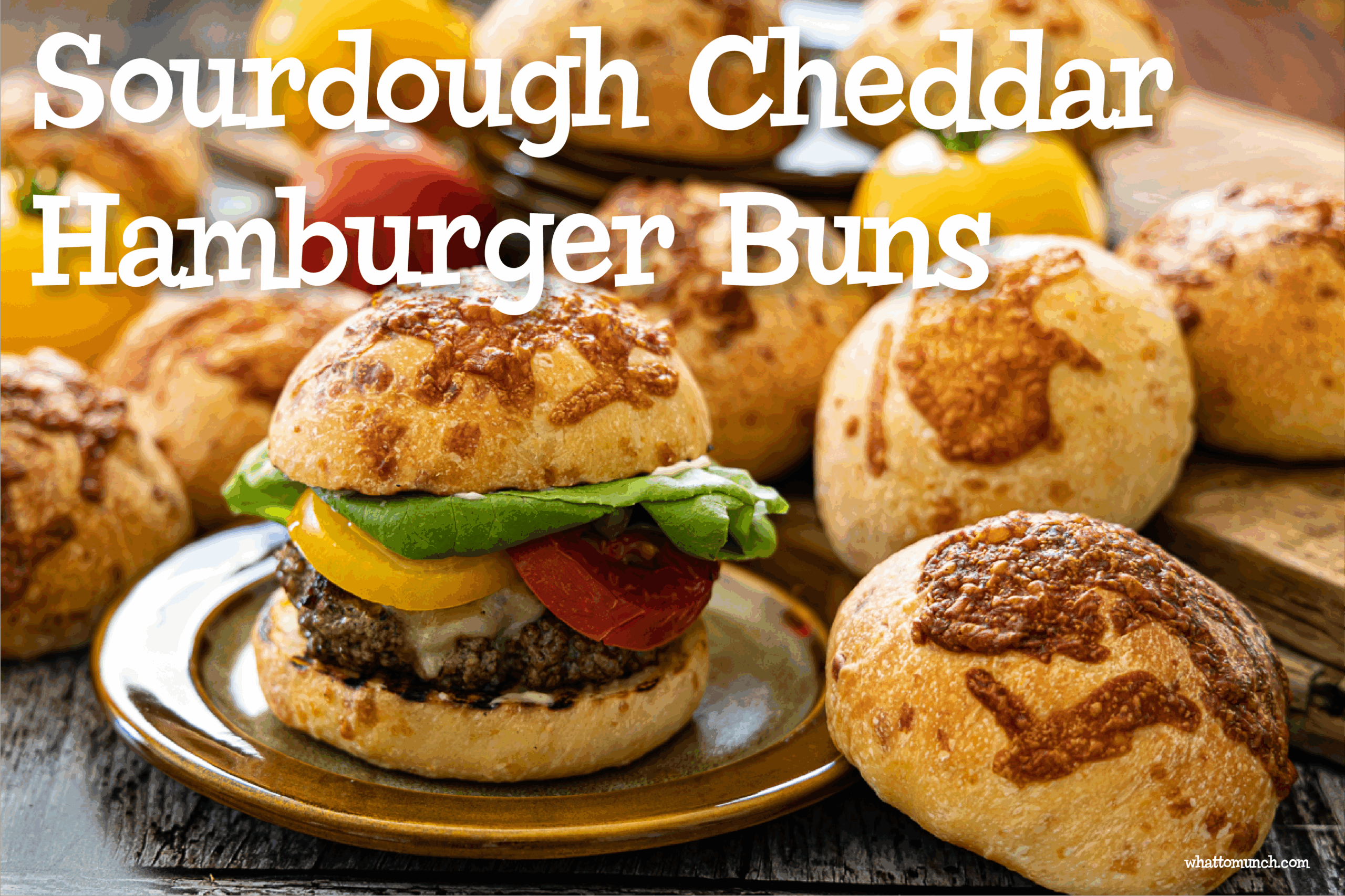 sourdough hamburger buns recipe